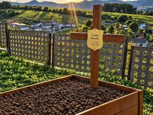 Cintorínske služby 4 - pohrebné služby LAuK